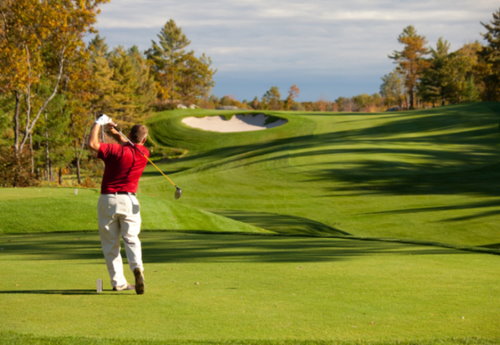 Te Puke Golf Club